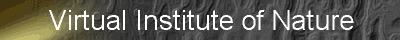 bannervin3