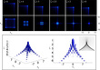 Figura2_web