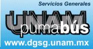dgsg