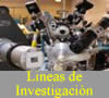 Lineas_de_Investigacion