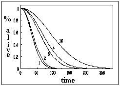 fig1.gif
