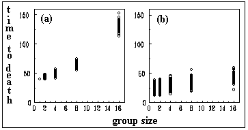 tfig3.gif
