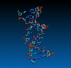 DNA as a sequence of NABs
